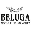 Logo BELUGA