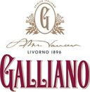 Logo GALLIANO