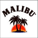 Logo MALIBU